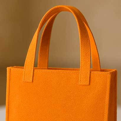 Sacs_image